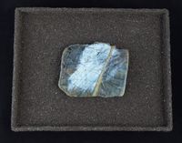 stromatolite - 32x25cm